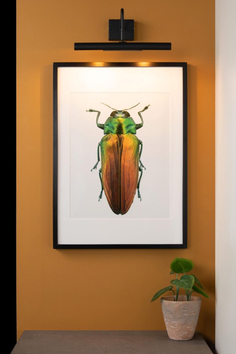 Lucide VINZ - Svetlo na obraz - 2xG9 - Čierna